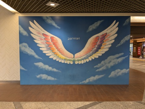 PXL_20241112_042411306