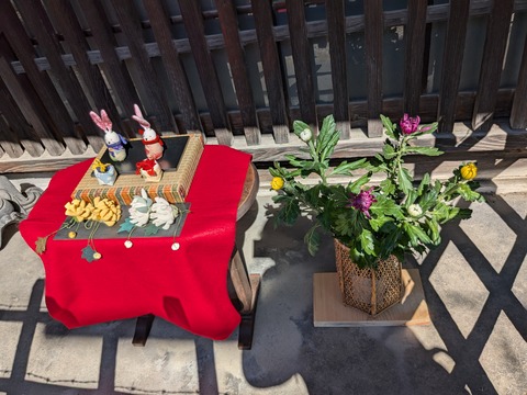 PXL_20241012_014750395