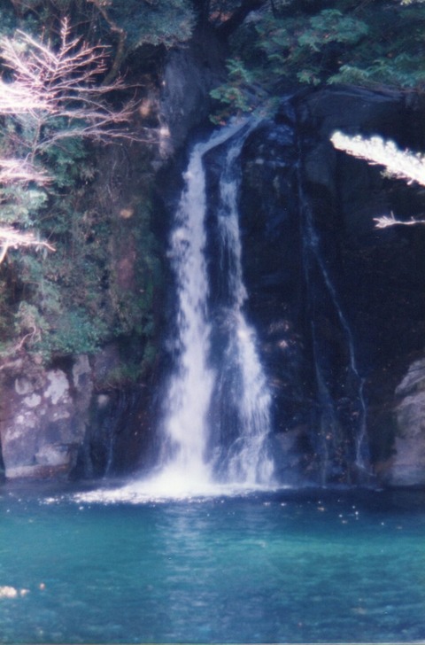 img20231029_13450287