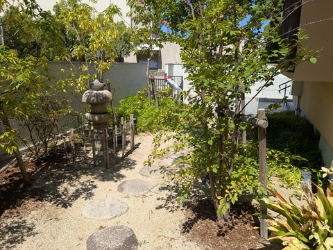 PXL_20250819_012517708