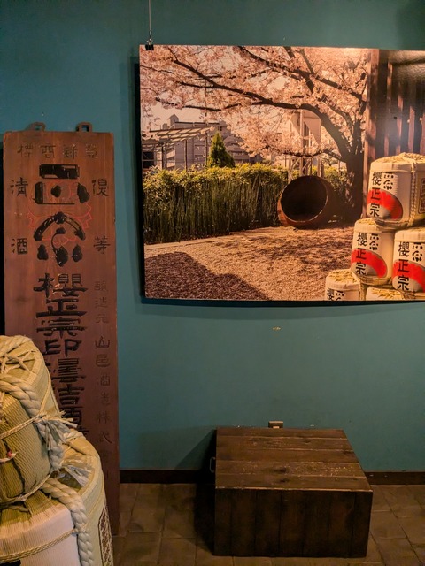 PXL_20241010_030715886.MP