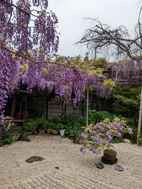 PXL_20240422_014354306