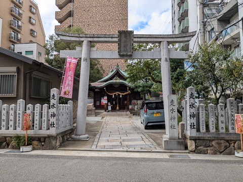 PXL_20241112_033905124