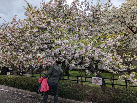 PXL_20240409_044401862