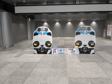 PXL_20240730_013121057