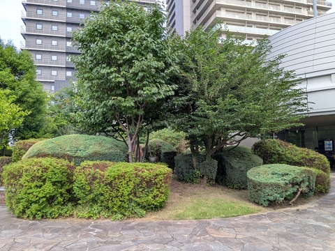 PXL_20250701_065025797