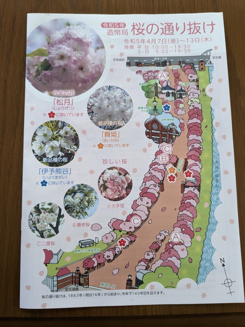 PXL_20230411_063941203.MP