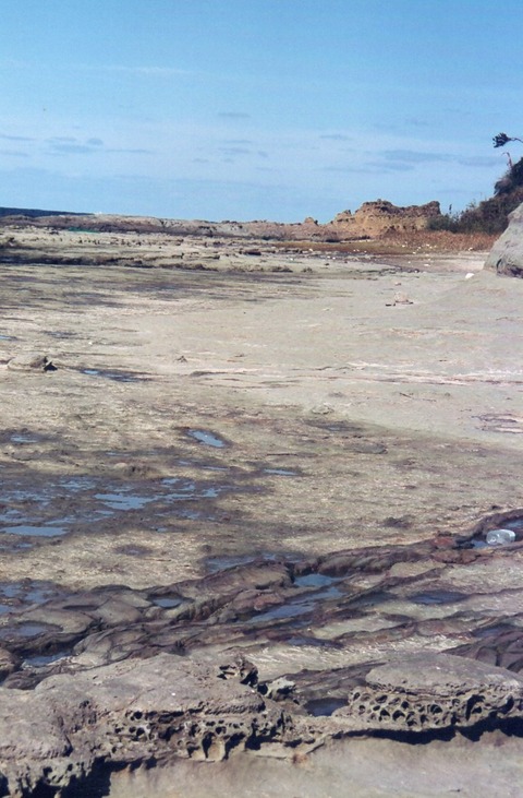 img20231112_14234511