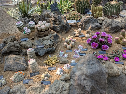 PXL_20250416_050955590