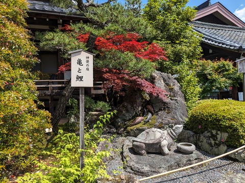 PXL_20240517_010222378