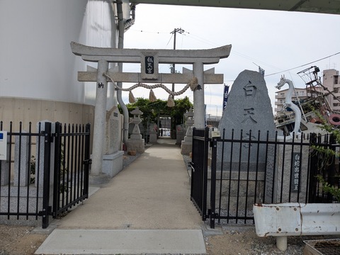 PXL_20251021_005438930