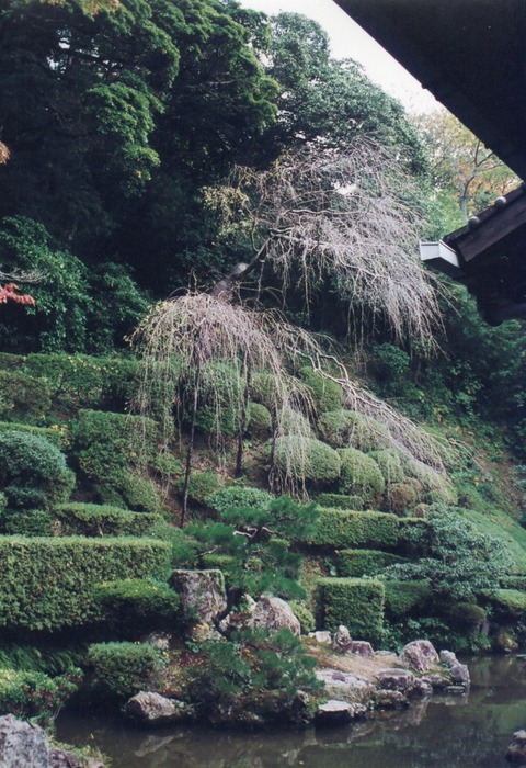 img20231112_14345503