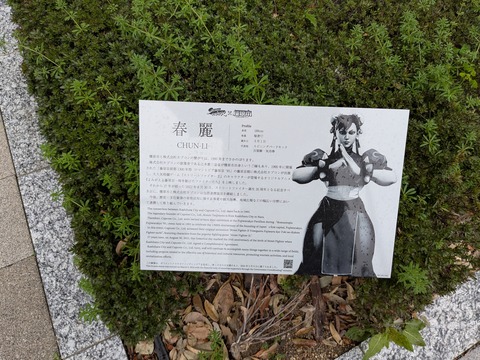 PXL_20260407_015304227