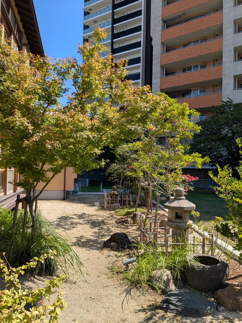 PXL_20250819_012459075