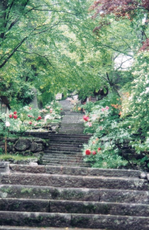 img20240812_13321667_0001