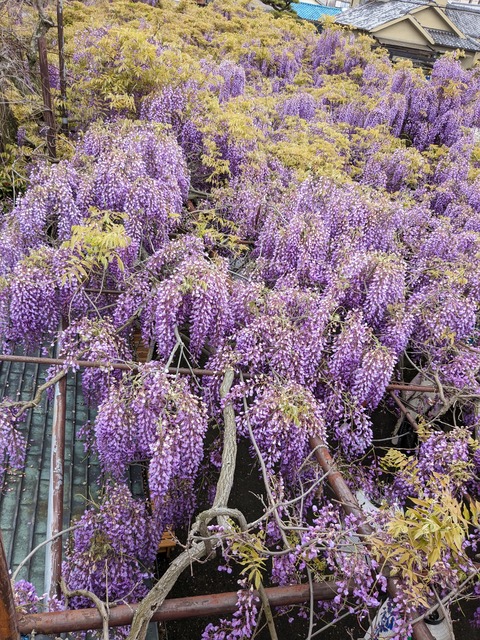 PXL_20240422_013723469