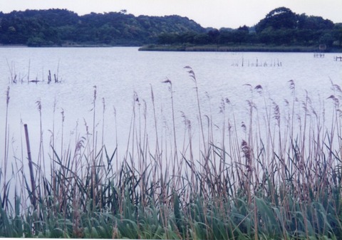 img20230924_14475712
