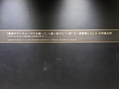 PXL_20230905_054504378
