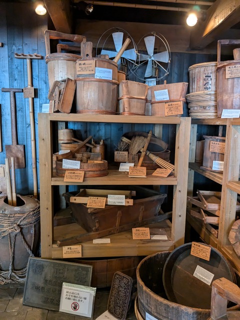 PXL_20241010_030732263