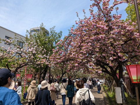 PXL_20230411_035134114