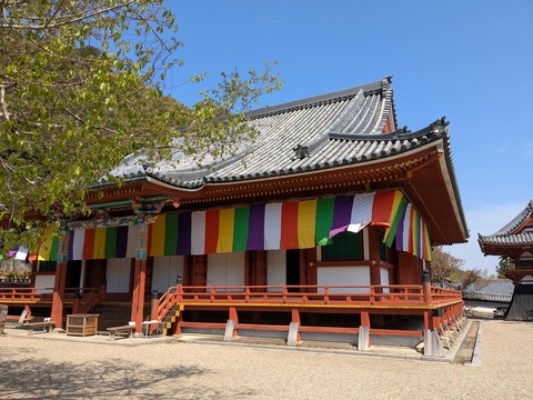 PXL_20250416_004730263