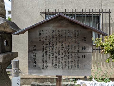 PXL_20240416_044046779