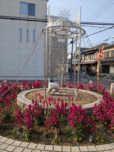 PXL_20250131_011640734