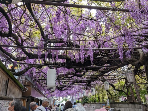 PXL_20240422_013224082