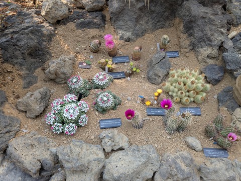 PXL_20250416_050935727