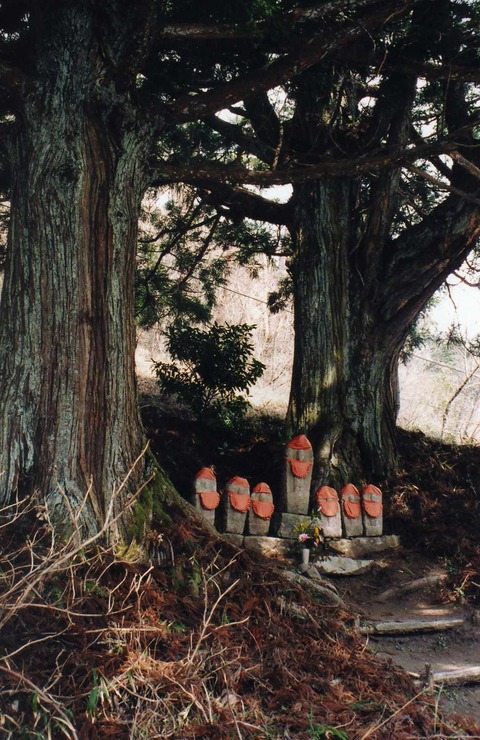 6-6