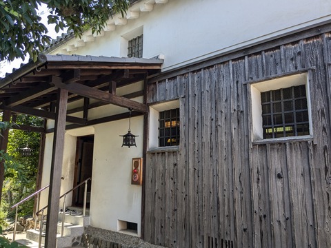 PXL_20241012_021836161