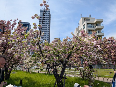 PXL_20260414_040513256.MP