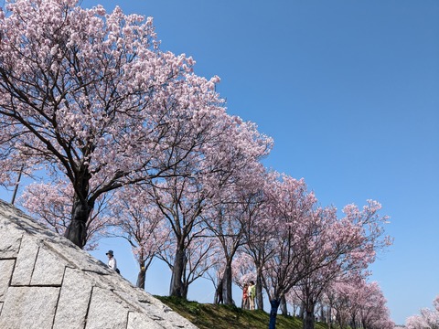 PXL_20240401_011434355