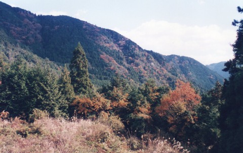 img20231016_15061722