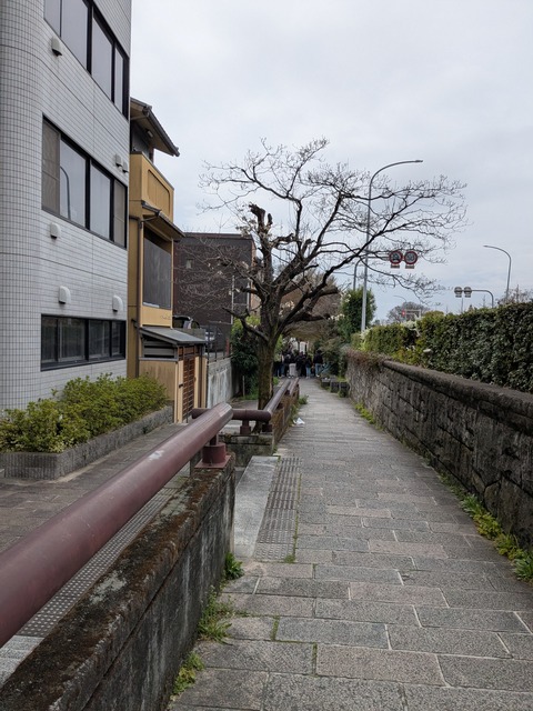 PXL_20250401_004701349