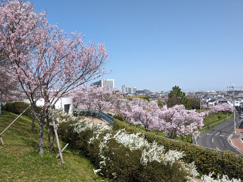 PXL_20240401_011021433