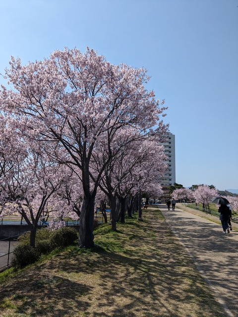 PXL_20240401_005956004