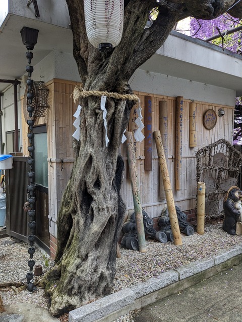 PXL_20240422_014234253