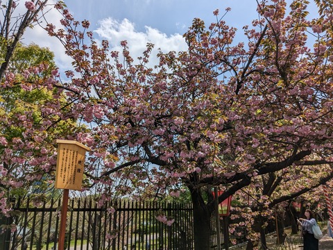 PXL_20230411_034956903