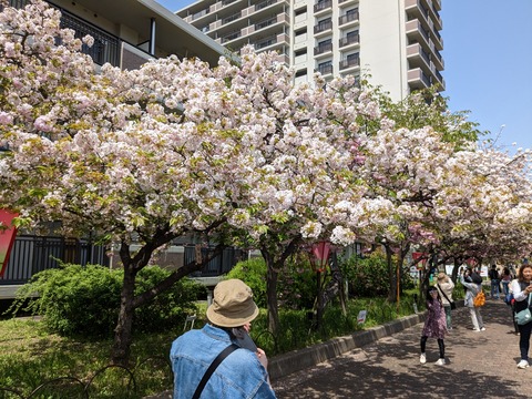 PXL_20230411_033339321