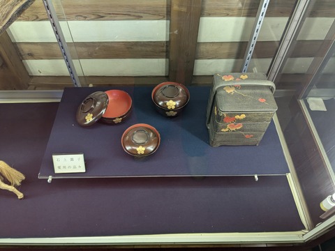 PXL_20241012_022015329