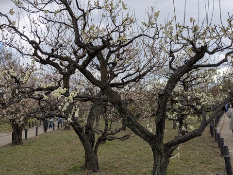 PXL_20250307_040142308