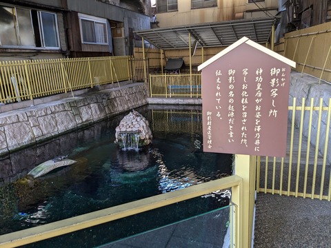 PXL_20241010_003745604.MP