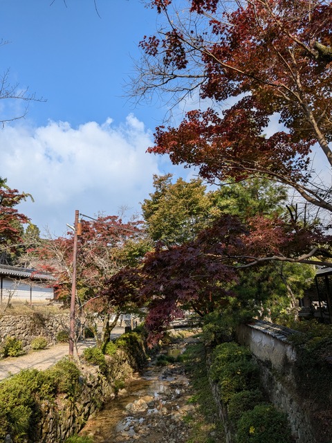 PXL_20241122_005052308