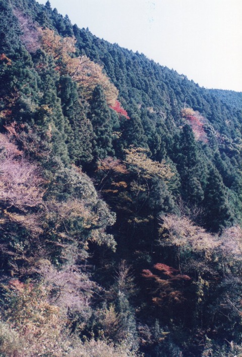 img20231016_14542806_0001