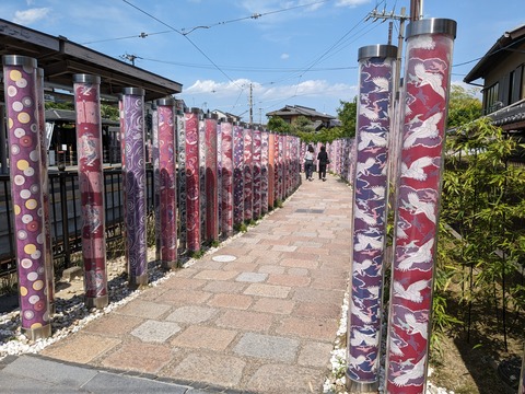 PXL_20240509_048839122