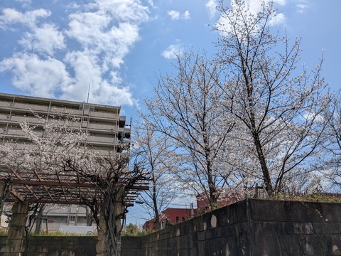 PXL_20250404_031218620