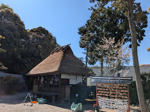 PXL_20260408_002438041