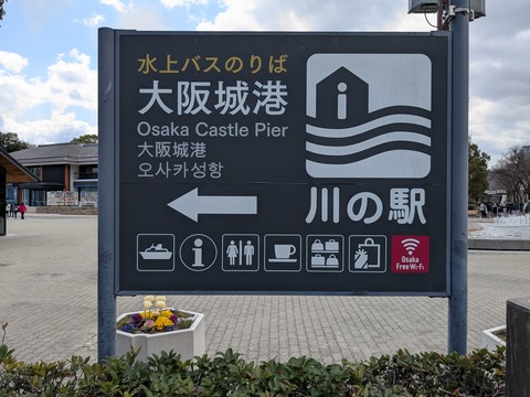 PXL_20250307_031941721