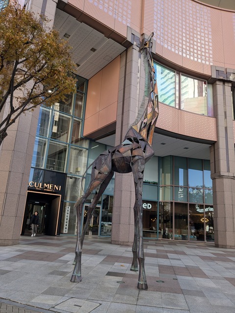 PXL_20241210_011119983